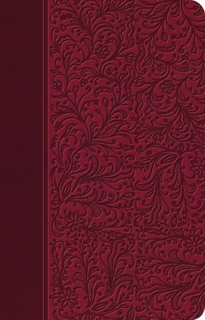Biblia RVR 1977 Clásica Edición Especial Rubi