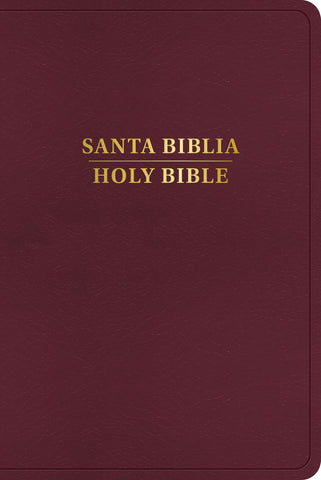 Image of BIBLIA RVR 1960 KJV BILINGUE BORGONA SIMIL PIEL