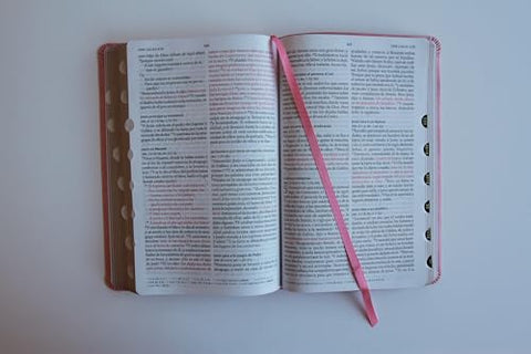 Image of Biblia RVR 1960 Letra Grande Tamaño Manual Rosada Símil Piel con Índice