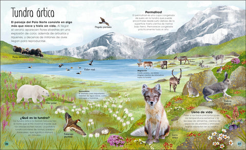 Image of La Vida Secreta del Hielo
