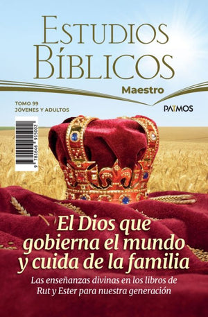 Mestroo Tomo 99: El Dios que Gobierna el Mundo y Cuida de la Familia  Jóvenes y Adultos