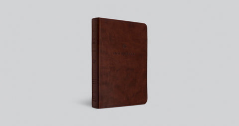 Image of ESV VALUE LARGE PRINT COMPACT BIBLE (TRUTONE, CHESTNUT)
