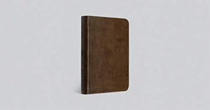 ESV VALUE COMPACT BIBLE (TRUTONE BROWN IMITATION LEATHER)