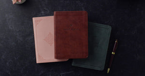 ESV VALUE LARGE PRINT COMPACT BIBLE (TRUTONE, CHESTNUT)