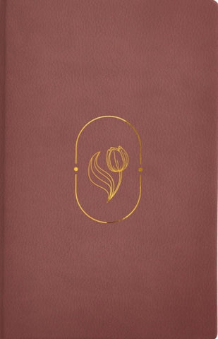 Image of Biblia RVR 1960 de Promesas Devocional Virtuosa Letra Gigante Piel Especial Rosa