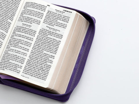 Image of BIBLIA RVR 1960 COMPACTA LILA HOJAS PRIMAVERA SIMIL PIEL CON CIERRE