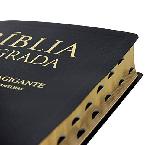 Image of BIBLIA EM PORTUGUES ARC087TILEXGLV TAPA EN CUERO RECONSTITUIDO NEGRO INDICE DIGITAL