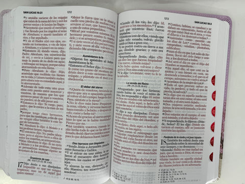 Image of Biblia RVR 1960 Letra Grande Mamual Rosa Flores Índice