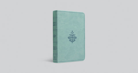 Image of ESV VALUE COMPACT BIBLE (TRUTONE, PARIS SKY, BRANCH DESIGN)