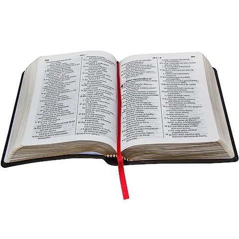 Image of BIBLIA EM PORTUGUES RA045LG TAPA IMITACION CUERO NEGRO