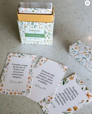 Caja de Promesas Ánimo