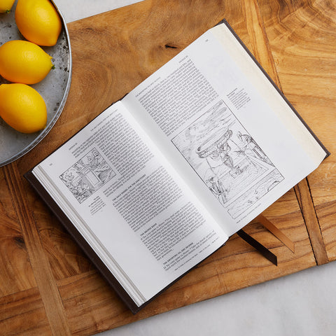 Image of NRSVCE, ILLUSTRATED CATHOLIC BIBLE, LEATHERSOFT, BLACK