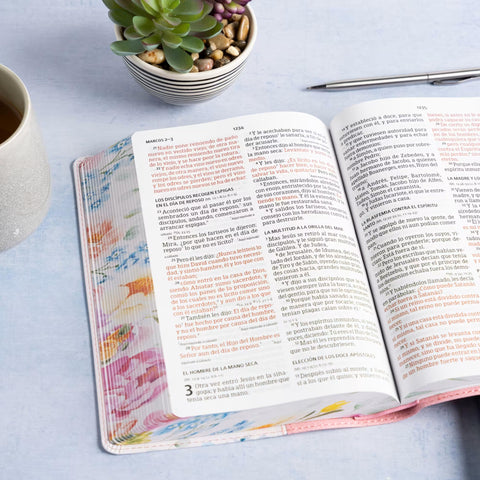 Image of Biblia RVR 1960 Letra Grande Tamaño Manual Edición Especial Rosa Pastel Símil Piel