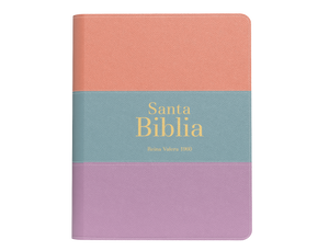 Biblia RVR 1960 Bolsillo Símil Piel Tricolor Palo Rosa Celeste Lila