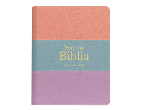 Image of BIBLIA RVR 1960 BOLSILLO SIMIL PIEL TRICOLOR PALO ROSA CELESTE LILA
