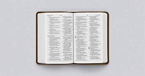 Image of ESV VALUE COMPACT BIBLE (TRUTONE BROWN IMITATION LEATHER)