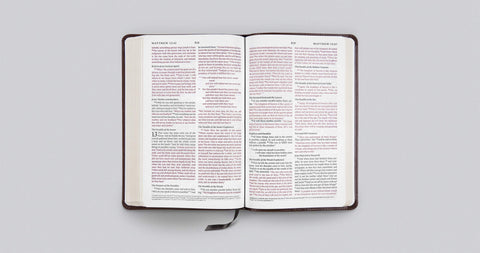 Image of ESV THINLINE BIBLE (TRUTONE ESPRESSO)