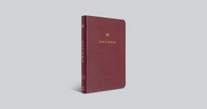 ESV GIFT AND AWARD BIBLE (TRUTONE, BURGUNDY)
