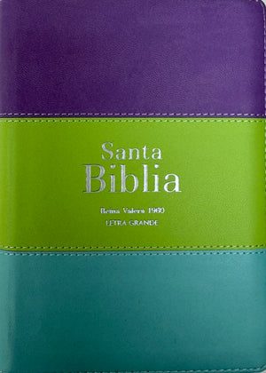 Biblia RVR 1960 Compacta Letra Grande 11 puntos Símil Piel Lila Verde Aguamarina con Cierre y Índice