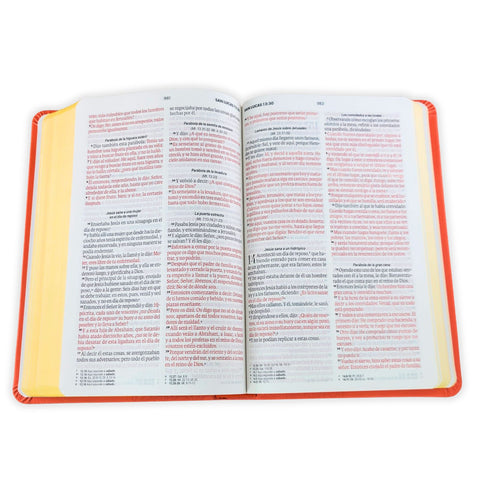 Image of BIBLIA RVR 1960 TAMANO MANUAL LETRA GRANDE 12 PT SIMIL PIEL LILA MORADO CON CIERRE BITONO