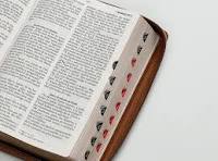 Image of Biblia RVR 1960 Letra Grande Tamaño Manual Floral Mariposas Símil Piel con Índice y Cierre