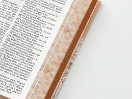 Image of Biblia RVR 1960 Letra GrandeTamaño Manual Tapa Dura Primavera coral Tapa Dura