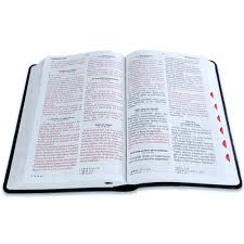 Image of Biblia RVR 1960 Tamaño Manual Letra Grande Colección Supreme Cordero y León Símil Piel
