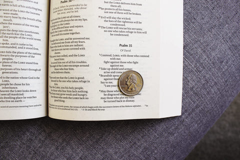Image of NIV, OUTREACH BIBLE FOR KIDS