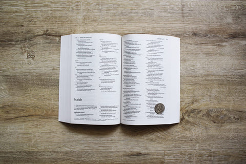 Image of NIV, OUTREACH BIBLE FOR KIDS