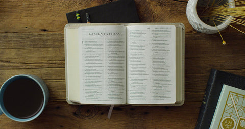 Image of ESV LARGE PRINT COMPACT BIBLE (TRUTONE, STONE, BRANCH DESIGN)
