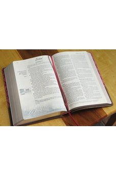 NIV, Women's Devotional Bible, Large Print, Leathersoft, Brown/Pink