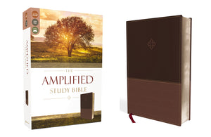 THE AMPLIFIED STUDY BIBLE, LEATHERSOFT, BROWN [LARGE PRINT]