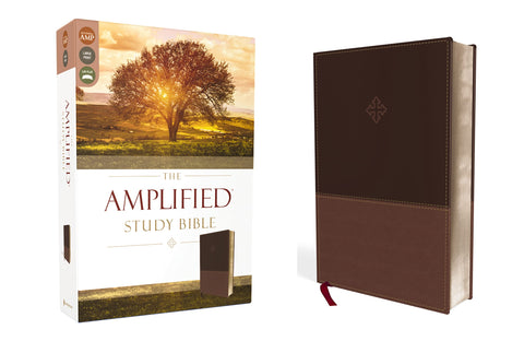 Image of THE AMPLIFIED STUDY BIBLE, LEATHERSOFT, BROWN [LARGE PRINT]