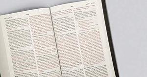 ESV THINLINE BIBLE (TRUTONE BROWN/CORDOVAN, PORTFOLIO)