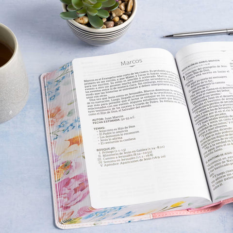 Image of Biblia RVR 1960 Letra Grande Tamaño Manual Edición Especial Rosa Pastel Símil Piel