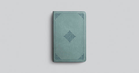 Image of ESV VALUE THINLINE BIBLE (TRUTONE, PARIS SKY, FLEUR-DE-LIS DESIGN)