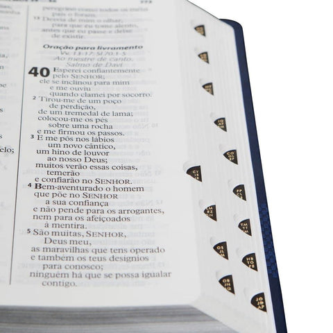 Image of BIBLIA EM PORTUGUES RA065TILG TAPA IMITACION CUERO AZUL INDICE DIGITAL