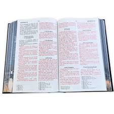 Image of Biblia RVR 1960 Tamaño Manual Letra Grande Tapa Dura Espada Tapa Dura