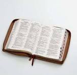 Image of Biblia RVR 1960 Letra Grande Tamaño Manual Floral Mariposas Símil Piel con Índice y Cierre