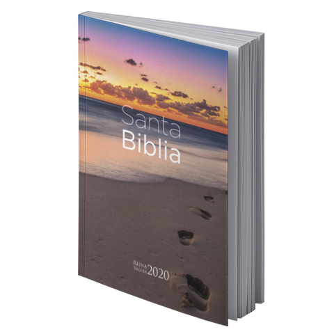 Image of Biblia RVR 2020 Económica Playa Rústica