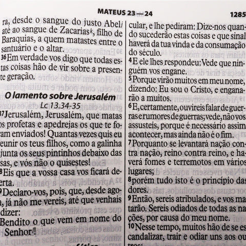 Image of BIBLIA EM PORTUGUES RA065TILG TAPA IMITACION CUERO NEGRO INDICE DIGITAL
