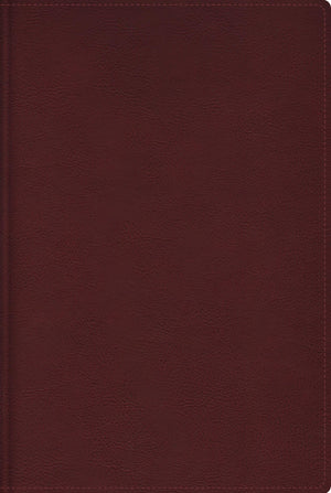 Biblia RVR de Estudio Trasfondo Cultural Piel Rojo Vino Interior a Color con Índice Comfort Print