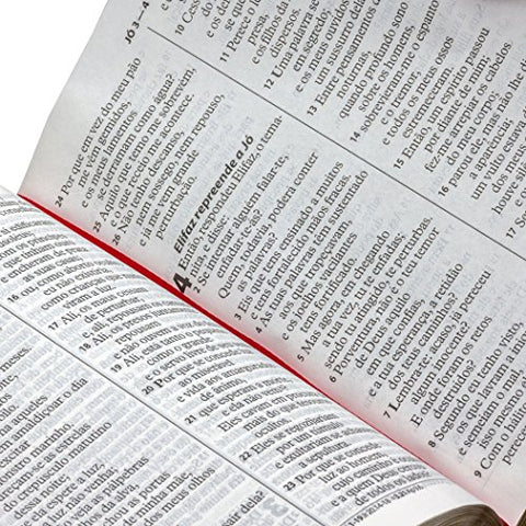 Image of BIBLIA EM PORTUGUES RA045LG TAPA IMITACION CUERO NEGRO
