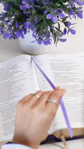 Image of Biblia NBLA para el Estudio Inductivo Piel  Interior a dos Colores Morado Comfort Print