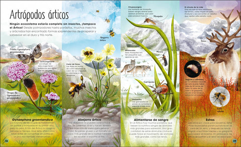 Image of La Vida Secreta del Hielo