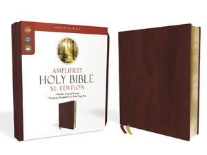 AMPLIFIED HOLY BIBLE, XL EDITION--SOFT LEATHER-LOOK, BURGUNDY