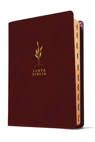 Image of Biblia RVR 1960 de Estudio del Diario Vivir Letra Grande Símil Piel Vino Tinto Índice Letra Roja