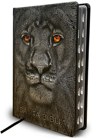 Image of BIBLIA RVR 1960 LETRA GRANDE TAMANO MANUAL LEON DE JUDA PLATA INDICE CANTO NEGRO