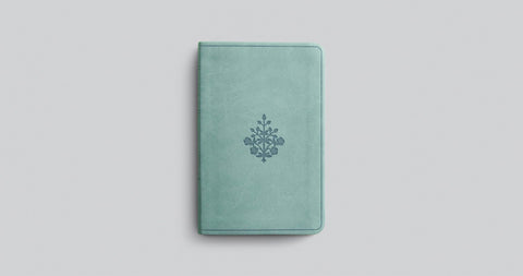 Image of ESV VALUE COMPACT BIBLE (TRUTONE, PARIS SKY, BRANCH DESIGN)