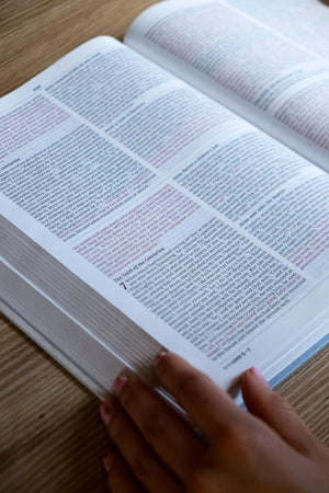 Biblia Bilingüe NVI NIV Tapa Rústica